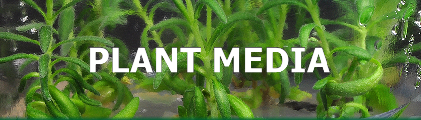 Plant Media