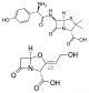 Amoxicillin/Clavulanic Acid (4:1)