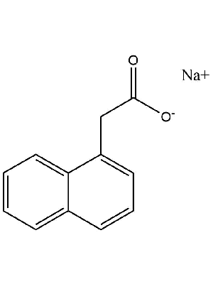 α-Napthaleneacetic Acid, Sodium Salt (Na-NAA)